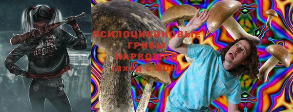 гидропоника Лабытнанги