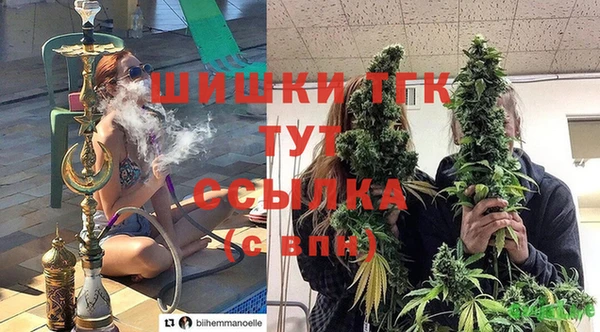 скорость Ладушкин