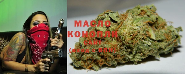 скорость Ладушкин