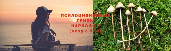 гидропоника Лабытнанги